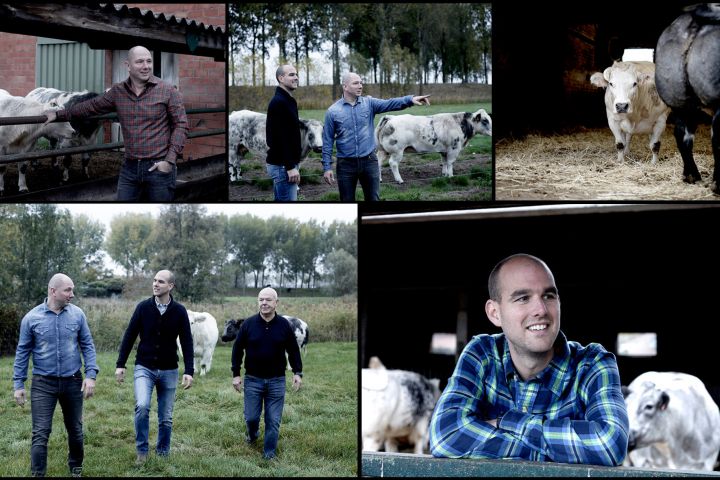Collage Van Gijsel